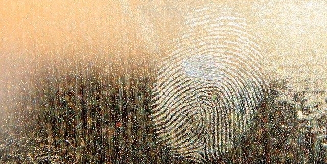 Fingerabdruck