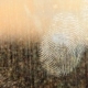 Fingerabdruck